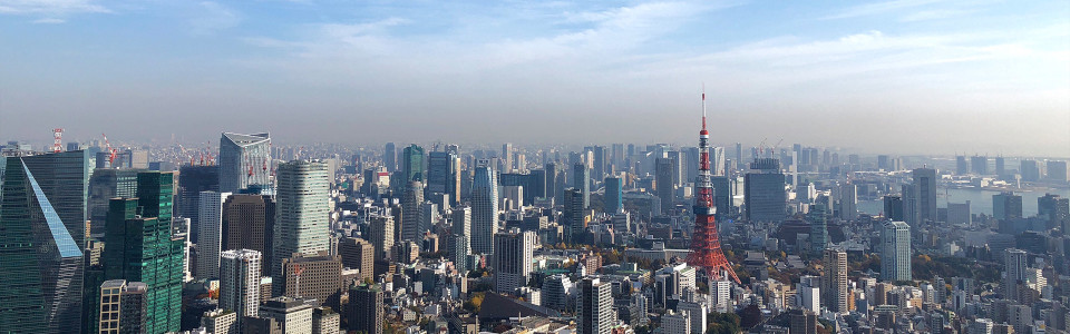 【長岡市】相続税対策で不動産を活用するメリット・デメリットと活用事例